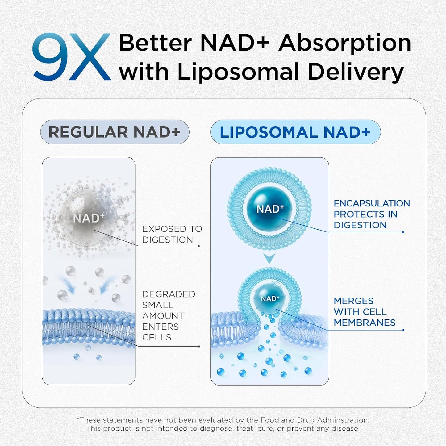 Liposomal NAD Supplement for Men