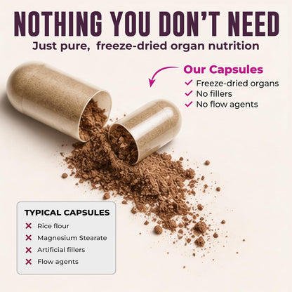 Beef Organ Supplement for Women